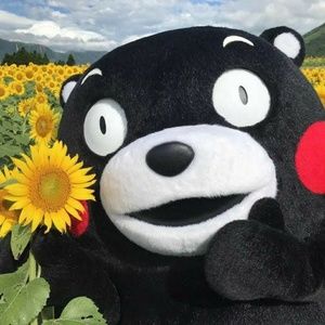 Meet your Posher, Celeste